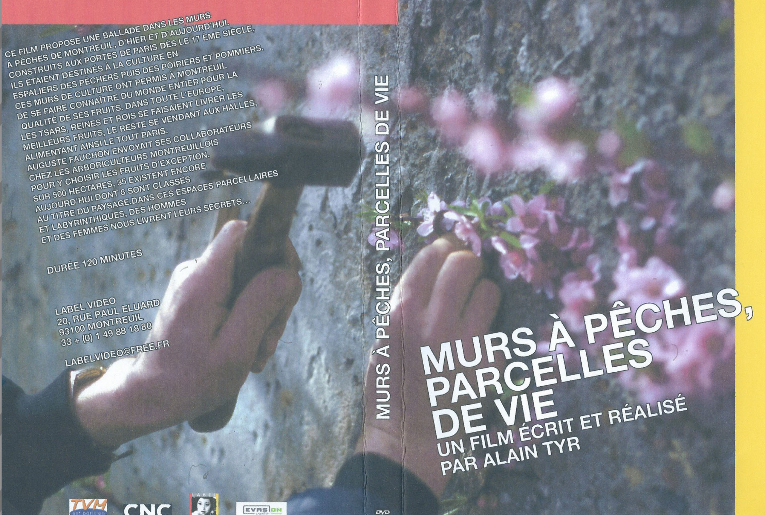 jaquette mur a pêche